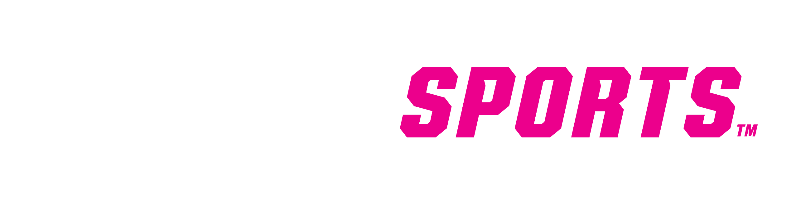 STN Sports Logo