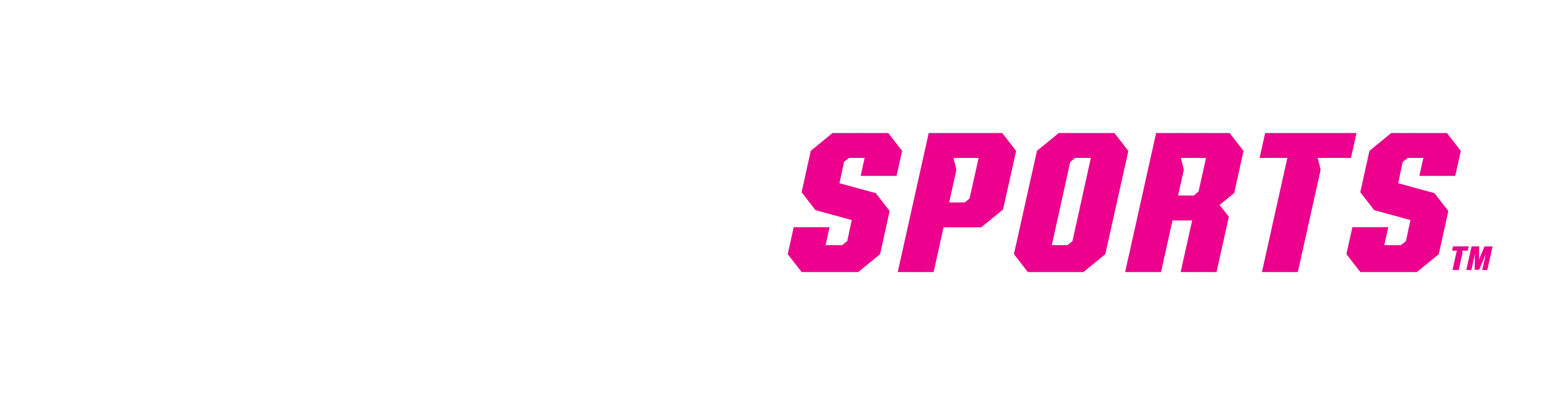 STN Sports Logo