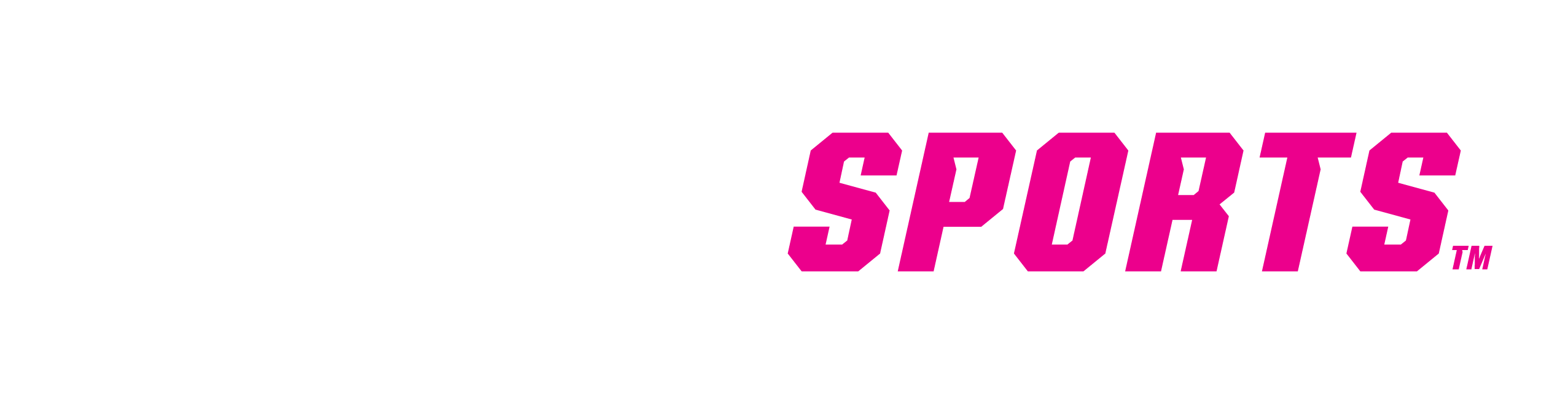 STN Sports Logo